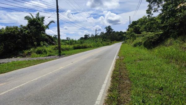 An 10.210 acs Agricultural Land with Oil Palm Tree