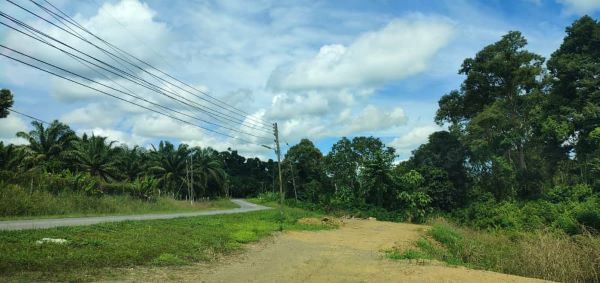 An 10.210 acs Agricultural Land with Oil Palm Tree